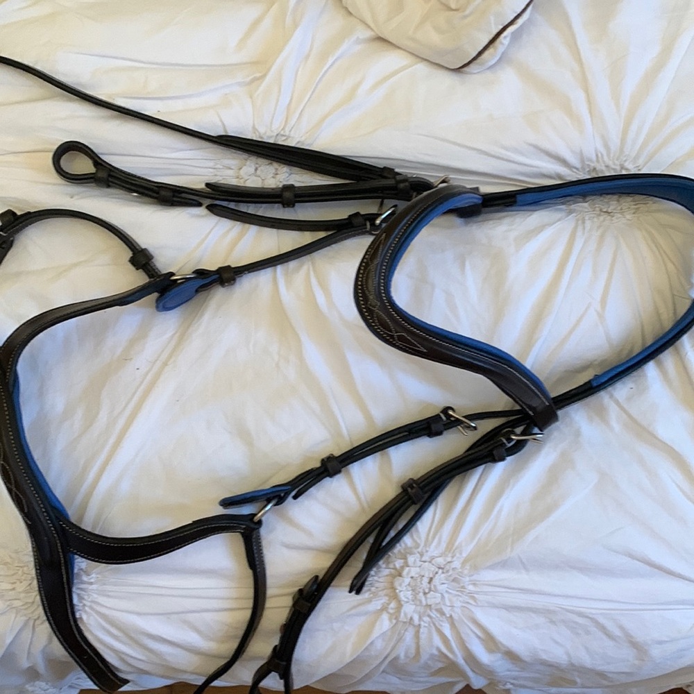 Full sized English bridle